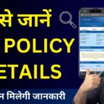 LIC पॉलिसी डिटेल्स ऑनलाइन कैसे चेक करें